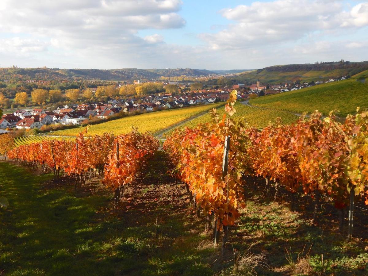 Ferienwohnung Mainidylle Winterhausen エクステリア 写真